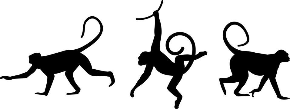 Swinging and Walking Monkey Silhouette Vector