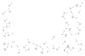 Dandelion Logo, Vector Plant Dandelion flower, Design Icon Template