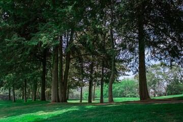 Golf un paseo por lo verde