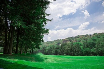 Golf un paseo por lo verde