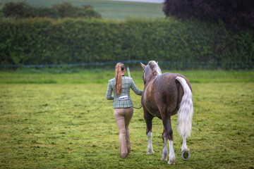 Young female competing in a in hand horse show competition, Image shows a 25 year old girl and her...