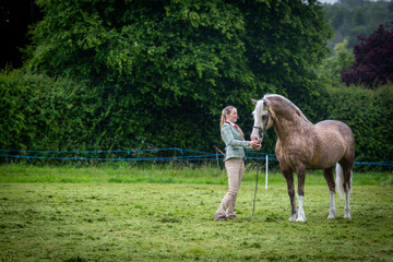 Young female competing in a in hand horse show competition, Image shows a 25 year old girl and her...