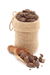 Close-up of Organic Black cardamom (Amomum subulatum), in a jute bag and on a scoop, Isolated on a white background.