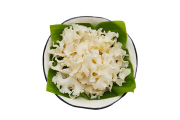 Cauliflower mushroom or cauliflower fungus