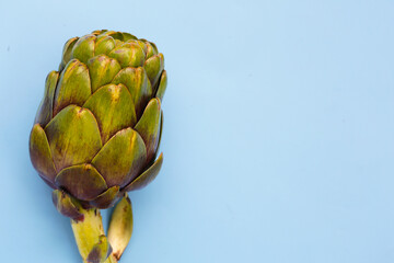 Fototapeta premium Purple artichoke on blue background.