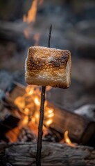 Close up of marshmallows browning over cozy campfire flames in an inviting outdoor setting.