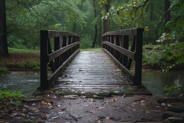 Obraz premium Wooden bridge in a lush forest, with wet foliage after a soothing rain