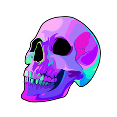 Drawn colorful vector human skull