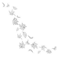 The leaves are spinning in the wind. Falling autumn leaves. Leaf outlines hand drawn doodles. Vector illustration isolated on white background.