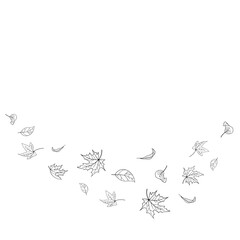 The leaves are spinning in the wind. Falling autumn leaves. Leaf outlines hand drawn doodles. Vector illustration isolated on white background.