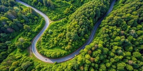 Curving road through lush green forest aerial view, forest, road, curve, beautiful, green, aerial, top view, nature
