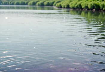 美しい川の水面