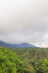 morning sky with views of misty forests
