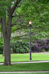 lantern in the park and landscape