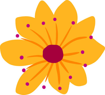 Beautiful Quirky Azelia Flower