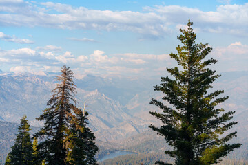 A breathtaking view of Kings Canyon National Park with towering pine trees framing a vast mountain range under a bright blue sky with white clouds.
