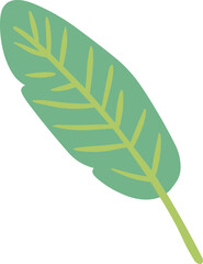 Hand Drawn Quirky Banana Leaf