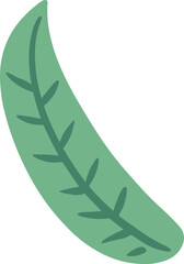 Hand Drawn Quirky Eucalyptus Leaf