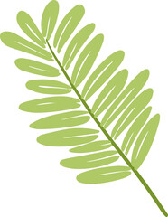 Hand Drawn Quirky Fern Leaf 