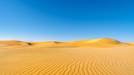Vibrant desert scenery with golden sands contrasting beautifully under a clear blue sky