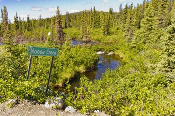 Moose Creek and beaver dam along Canol road, Yukon.