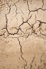 cracked earth texture