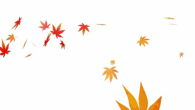 もみじの葉っぱが舞い散るアニメーション
