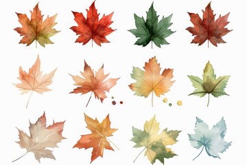 Collection of watercolor maple leaves in various colors creating an artistic and autumnal aesthetic on a white background.
