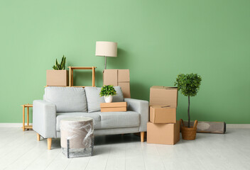 Cardboard boxes with sofa and plants in living room on moving day