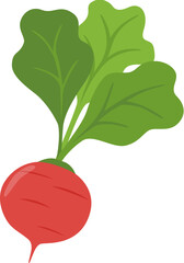 red radish