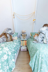 Green coordinated girls bedroom with two beds, toys, books and a technology free zone.