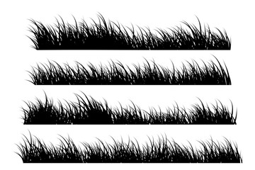 grass border silhouette. long grass