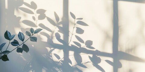 Shadows of leaves cast on a wall by sunlight, creating a serene and artistic nature-inspired scene.
