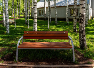 A park bench among birch trees and green grass.