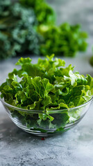 Fototapeta premium Salad vegetables, non-toxic, fresh, clean.