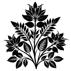 Tropical and Botanical Plants Leaf Vector illustration