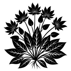 Tropical and Botanical Plants Leaf Vector illustration