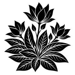 Tropical and Botanical Plants Leaf Vector illustration