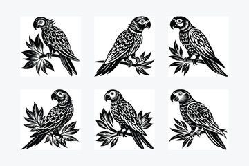 parrot perched Silhouette vector illustration
