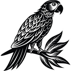parrot perched Silhouette vector illustration