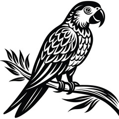 parrot perched Silhouette vector illustration