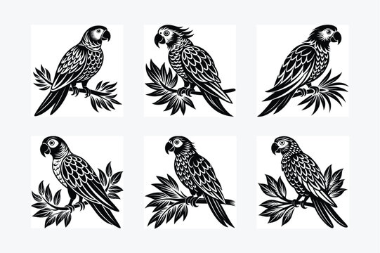 parrot perched Silhouette vector illustration