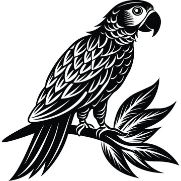 parrot perched Silhouette vector illustration
