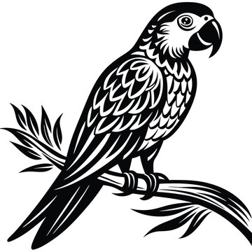 parrot perched Silhouette vector illustration