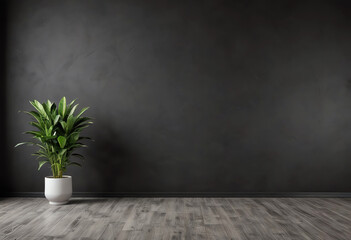 black concept interior with wooden floor and small potted plant