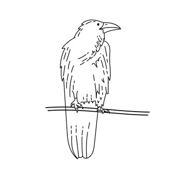 recommend clip art: crow illustration in outline style isolated on white background