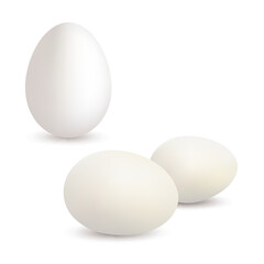 Three white eggs, one standing upright and two lying down. Vector