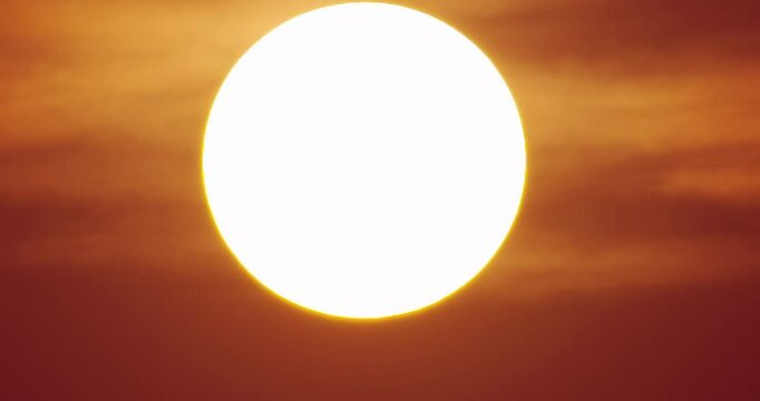 golden egg in the sun