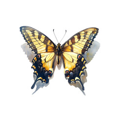 Fototapeta premium Watercolor illustration of swallowtail butterfly on white background