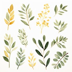 Fototapeta premium Watercolor Leaf Illustrations.